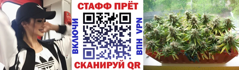 Конопля Щигры