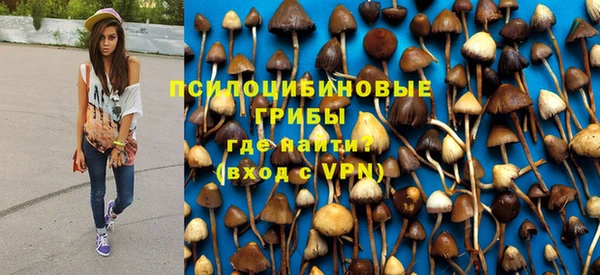 шишки Белоозёрский