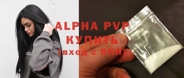 шишки Белоозёрский