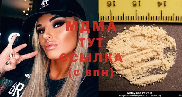 шишки Белоозёрский