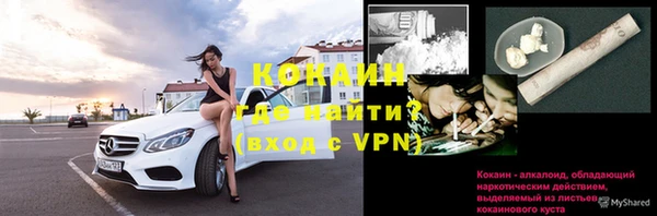 шишки Белоозёрский