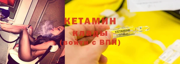 шишки Белоозёрский