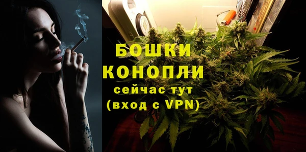 шишки Белоозёрский