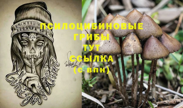 прущий лед Беломорск