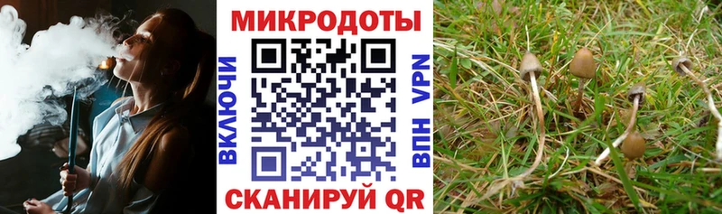 где продают наркотики  Щигры  блэк спрут вход  Галлюциногенные грибы ЛСД 