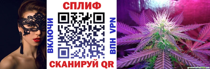 цена   Щигры  Бошки марихуана семена 
